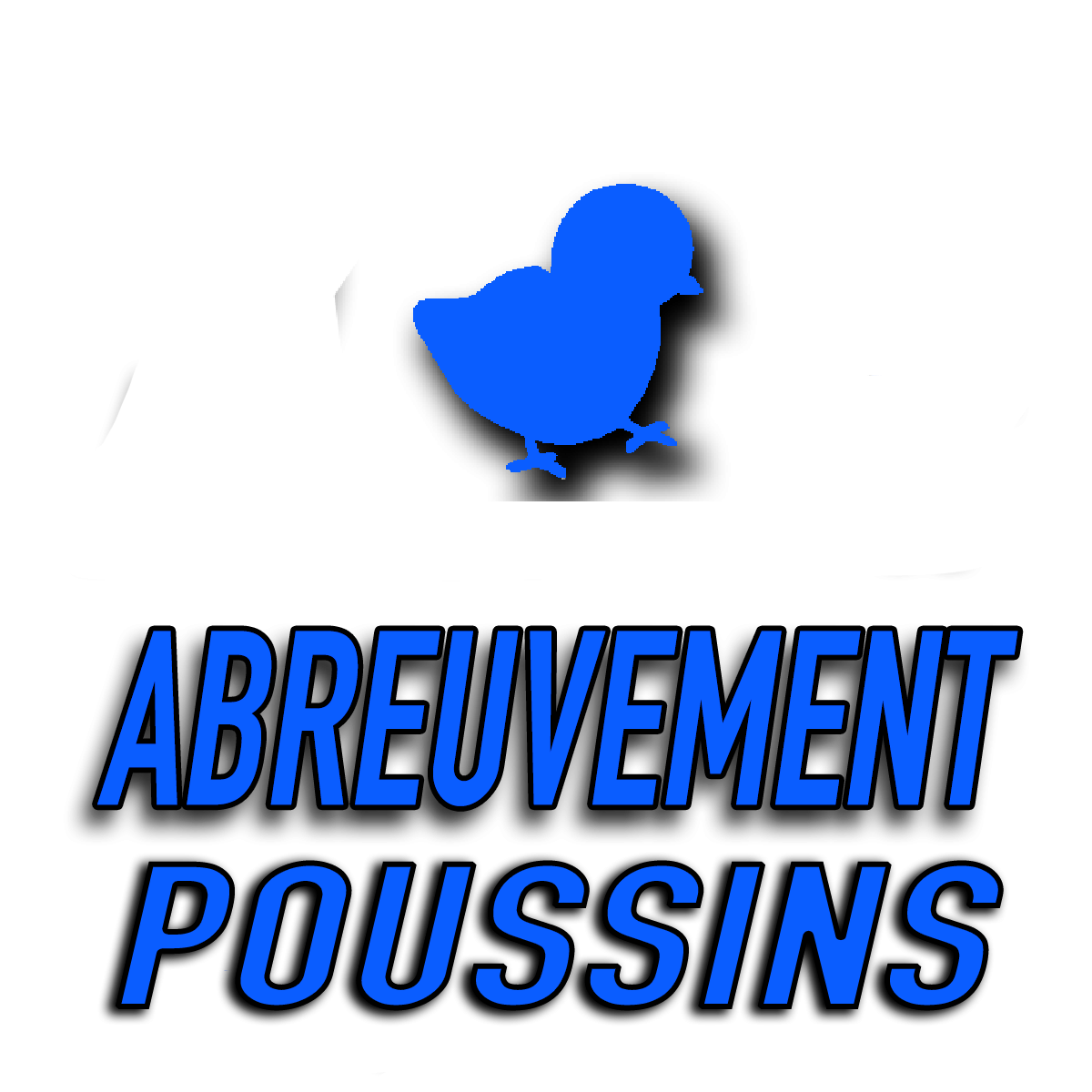 Abreuvement poussin