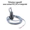 Detecteur capacitif